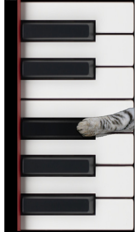 Cat Piano截图3