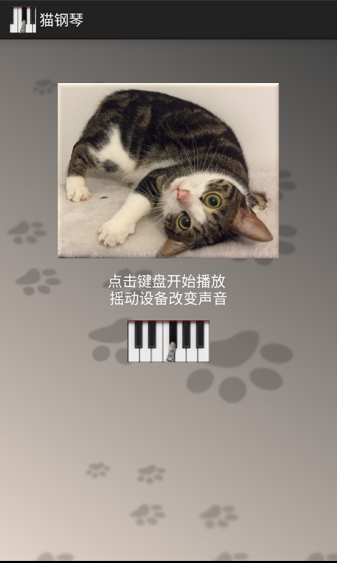 Cat Piano截图1