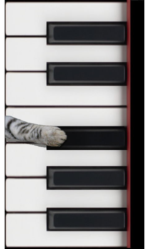 Cat Piano截图2