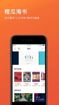 橙瓜截圖