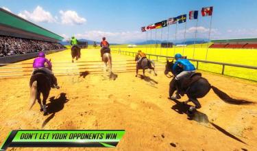 Horse Racing - Derby Quest Race Horse Riding Games截图4