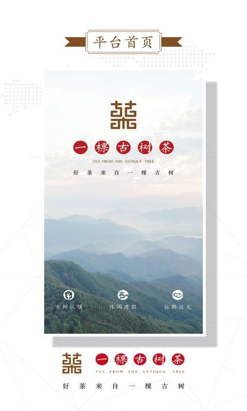 一棵古树茶截图5