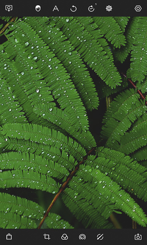 潑辣修圖截圖預(yù)覽