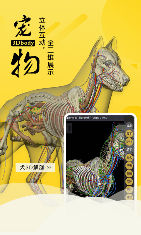 3Dbody宠物截图1