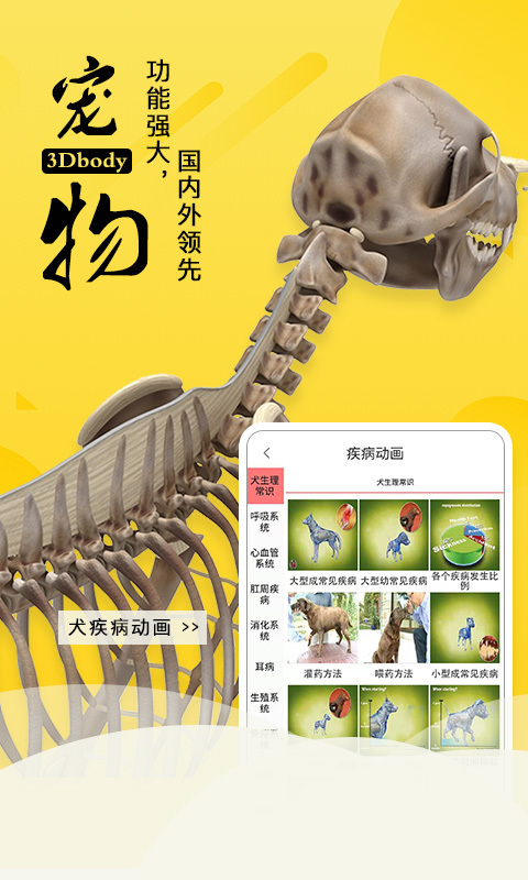 3Dbody宠物截图3