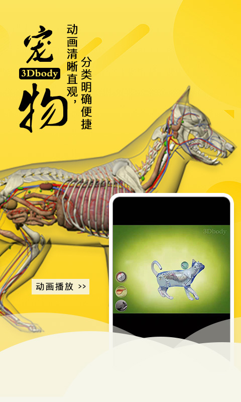 3Dbody宠物截图5