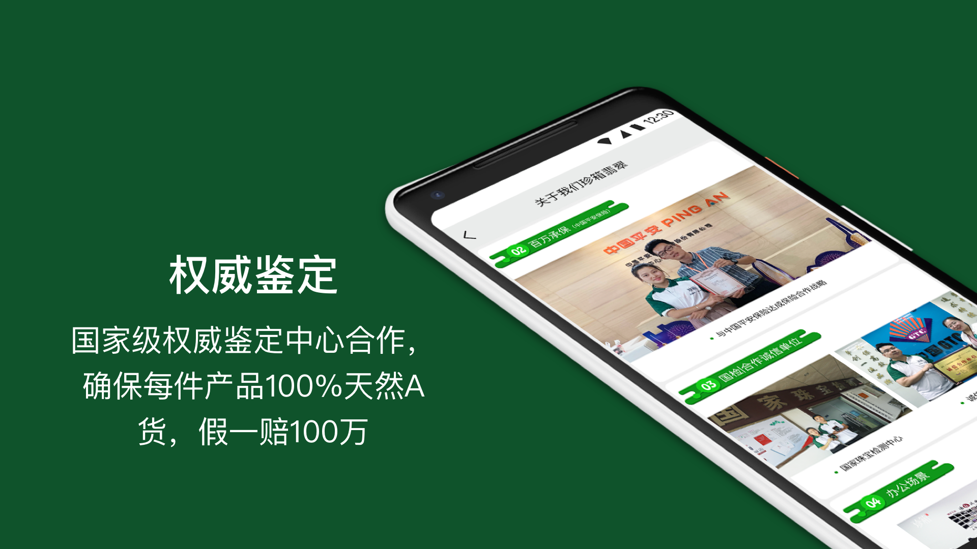 翡翠珍箱截圖預覽