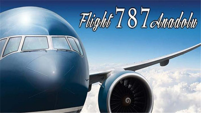 模拟飞行787 专业版截图1