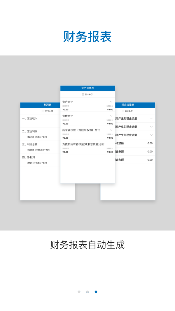 拍本账代账版截图3