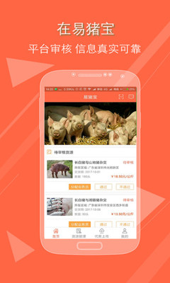 易猪宝代理截图1