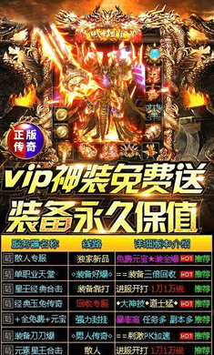 vip神装传奇截图3