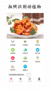 拍照識物截圖