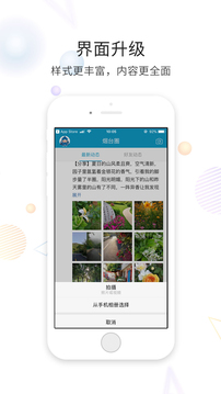 煙臺論壇截圖