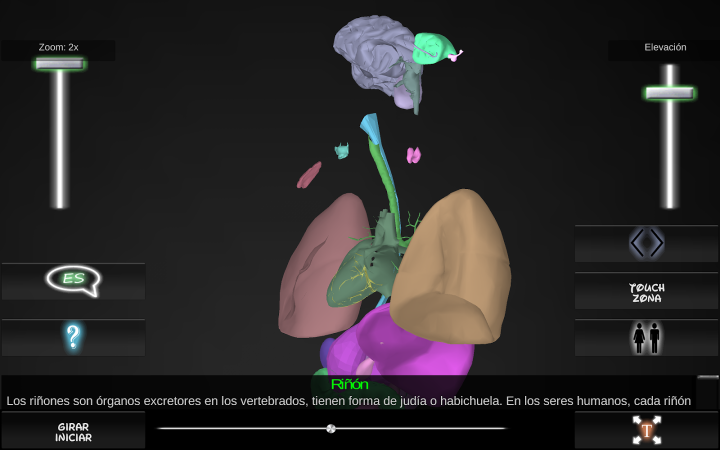 Organs 3D (Anatomy)截图6