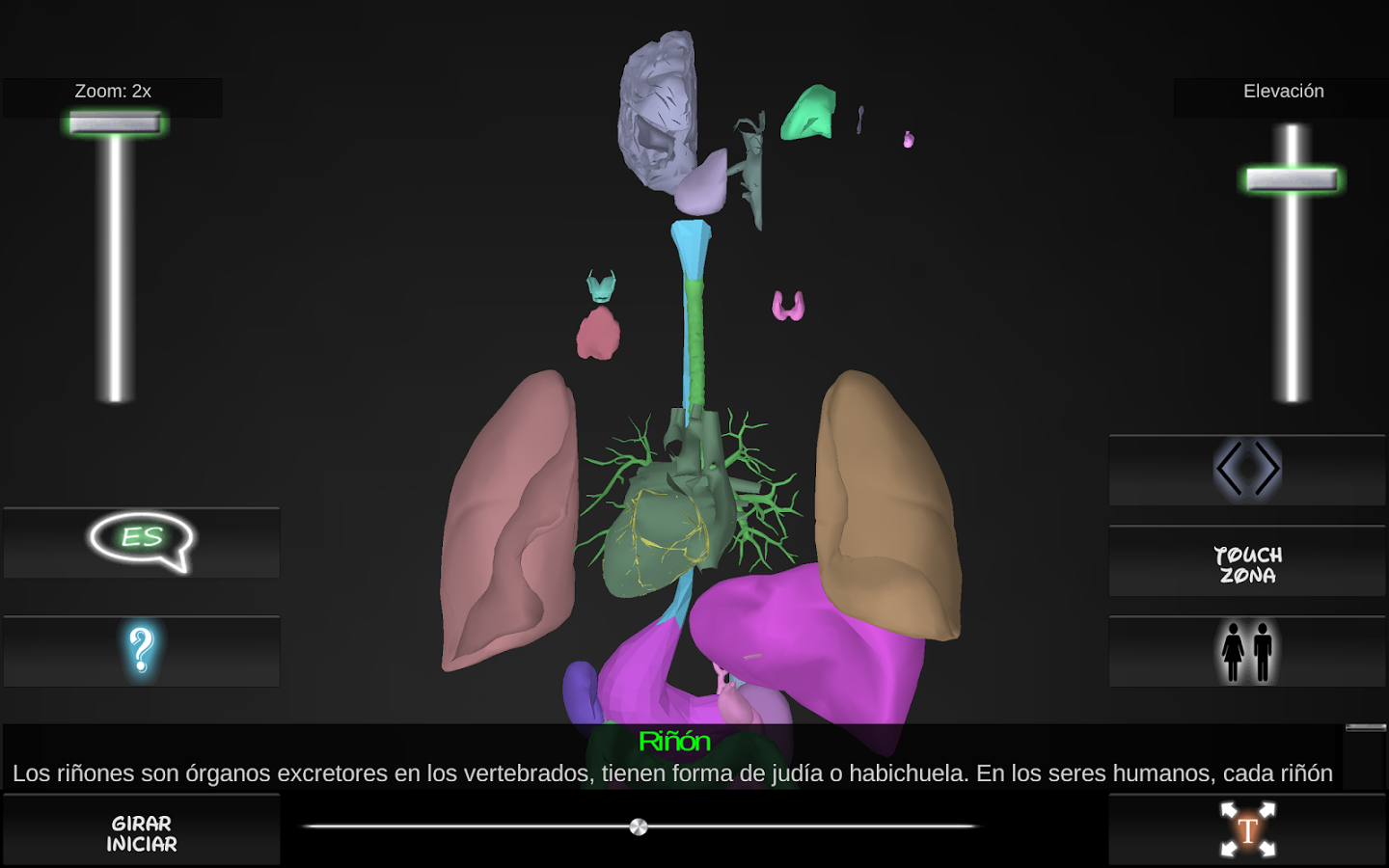 Organs 3D (Anatomy)截图7