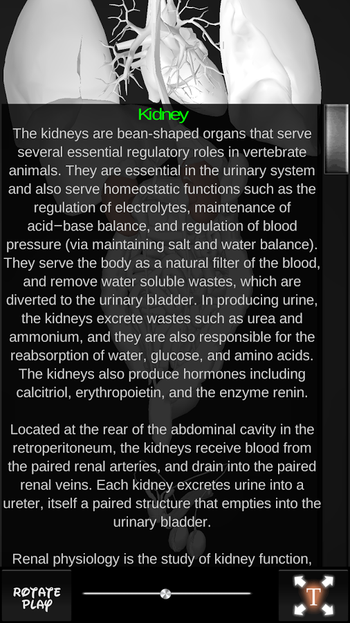 Organs 3D (Anatomy)截图9