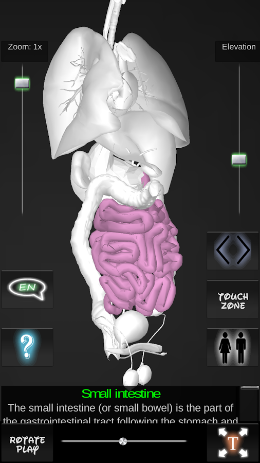 Organs 3D (Anatomy)截图10