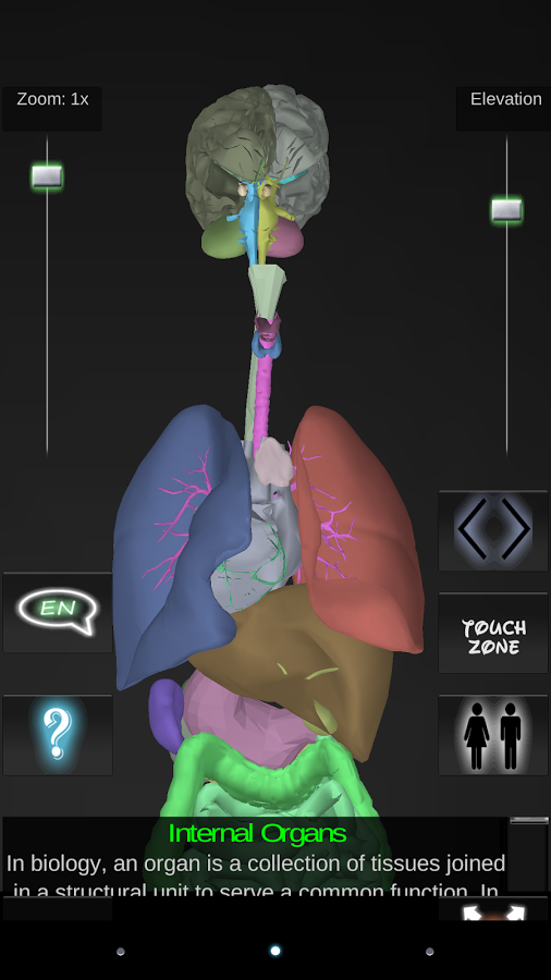 Organs 3D (Anatomy)截图8