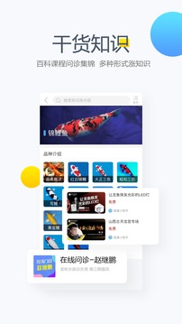 龍巔截圖