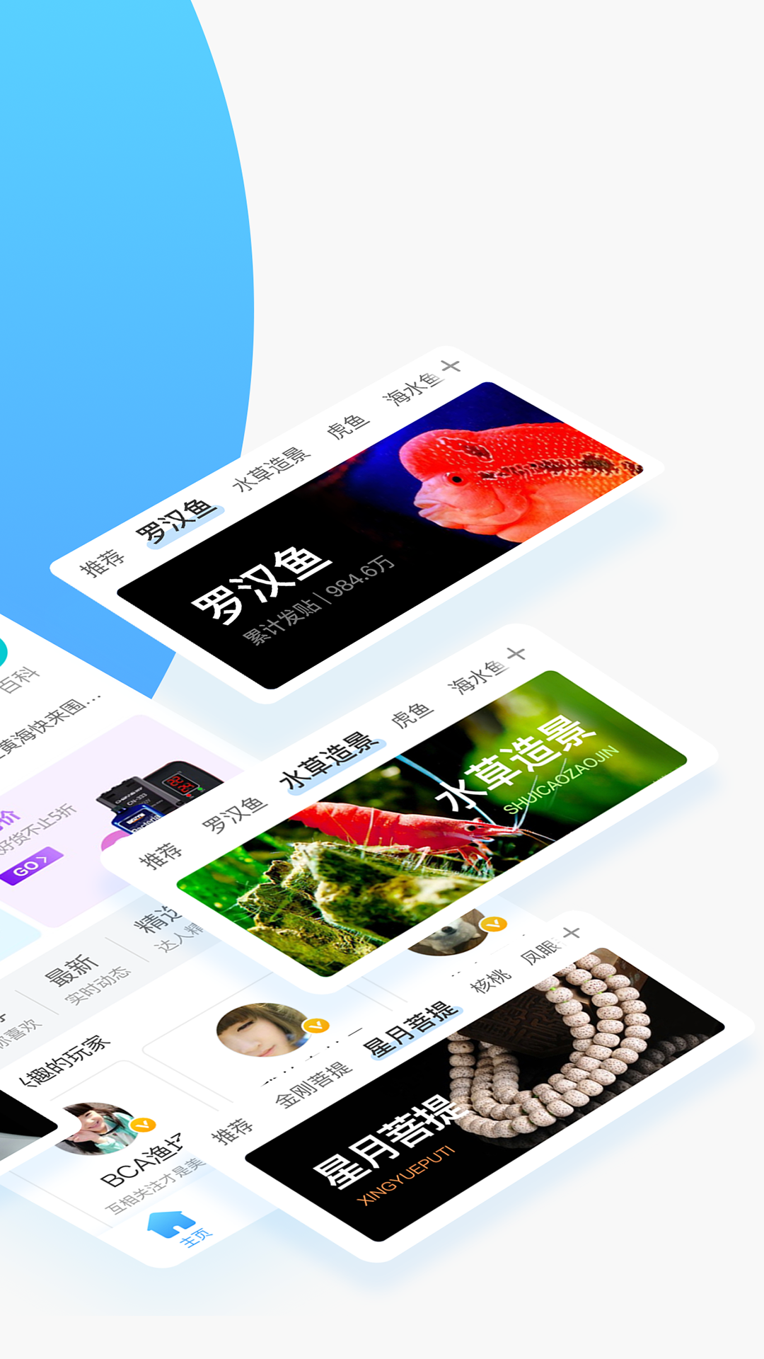 龙巅v4.1.0截图2