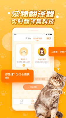 逗猫咪截图1