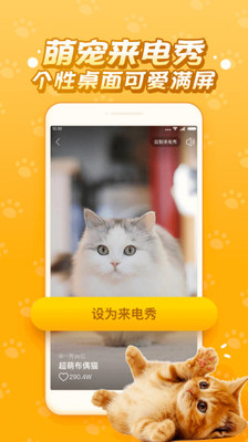 逗猫咪截图4