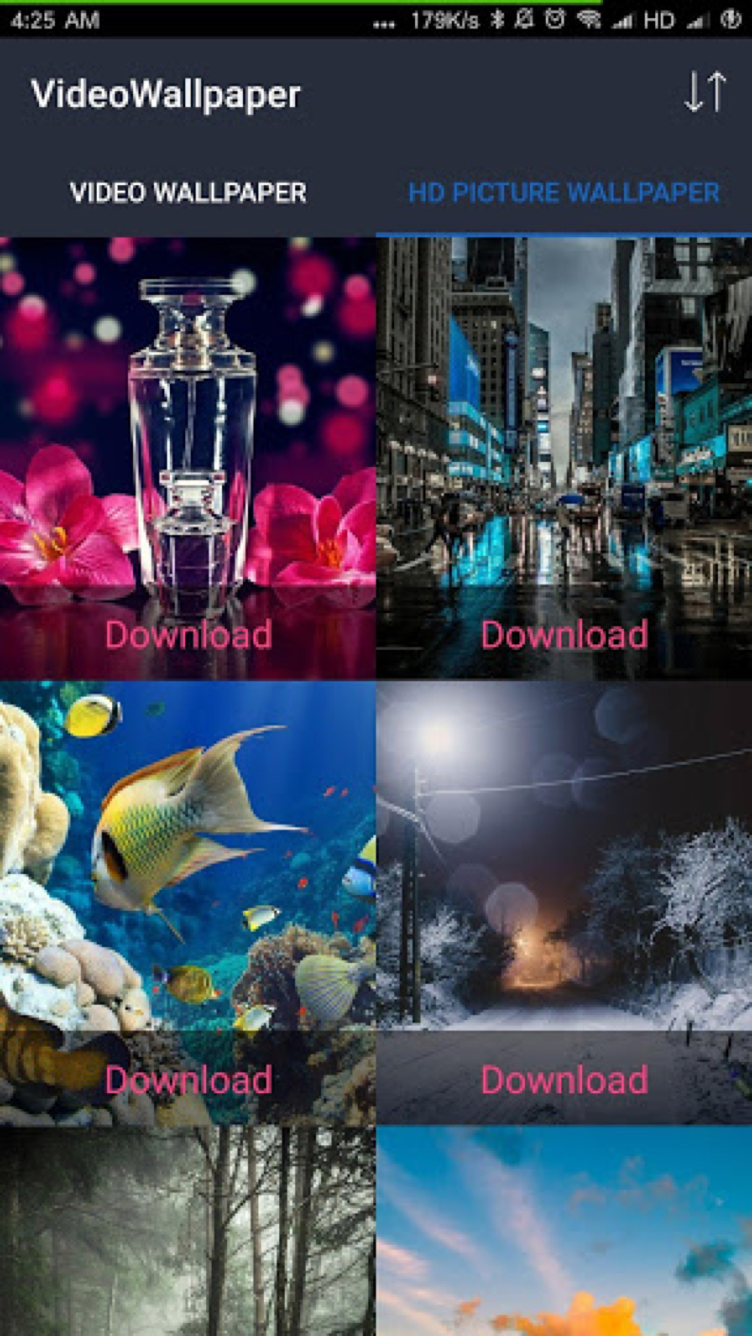 視頻壁紙截圖預(yù)覽