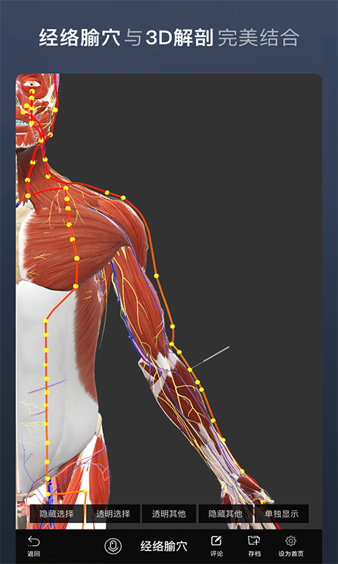 維薩里3D解剖截圖預(yù)覽