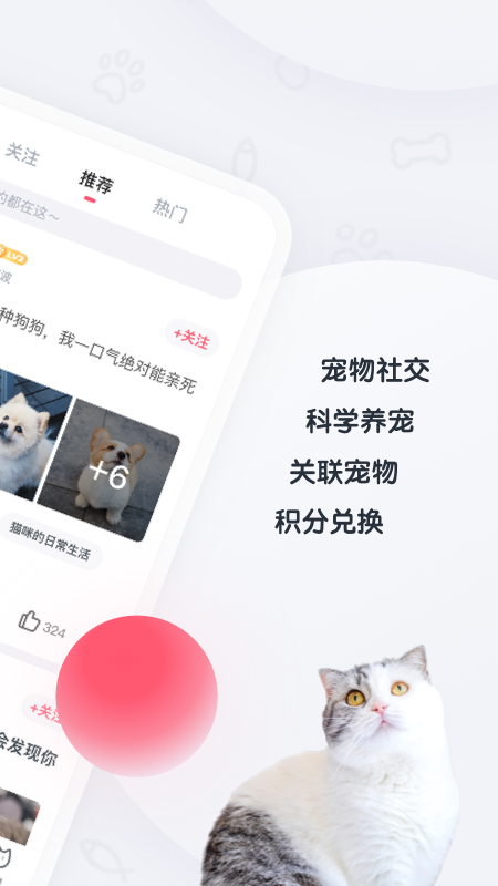 粉爪截图2