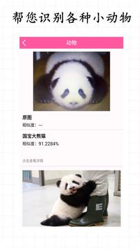 拍照識物截圖