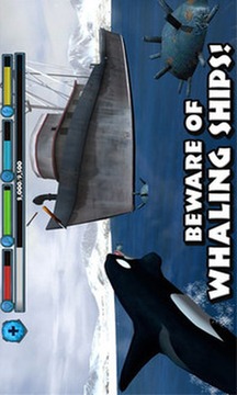 虎鲸模拟截图
