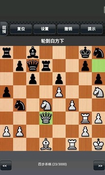 国际象棋截图