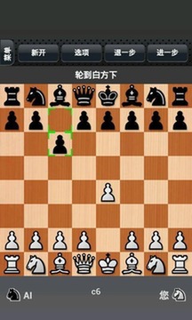 国际象棋截图