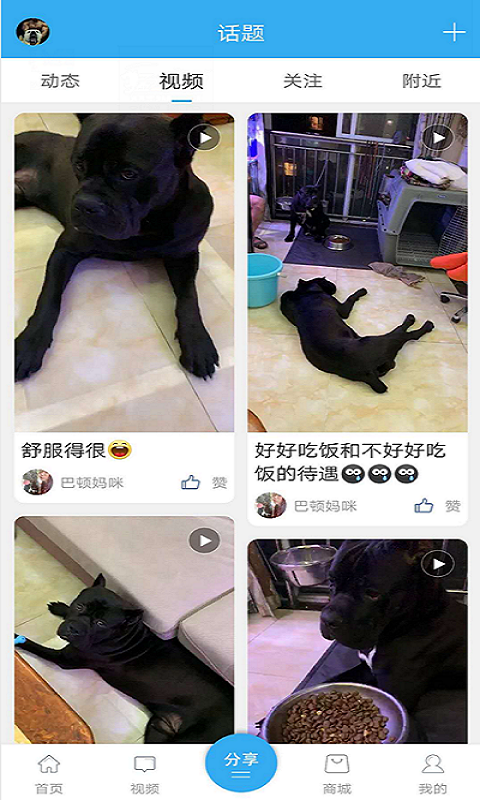 猛犬俱乐部v20240截图3