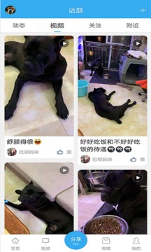 猛犬俱樂(lè)部截圖