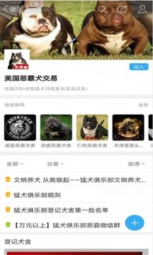 猛犬俱樂(lè)部截圖