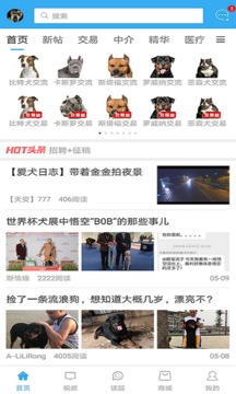 猛犬俱樂(lè)部截圖