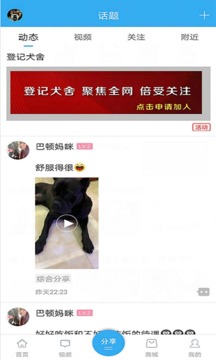 猛犬俱樂(lè)部截圖