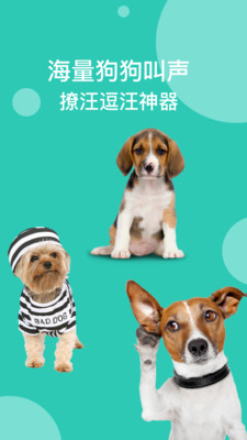 狗語翻譯截圖預(yù)覽