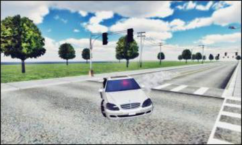 S600 Driving & Drift Simulator截图4