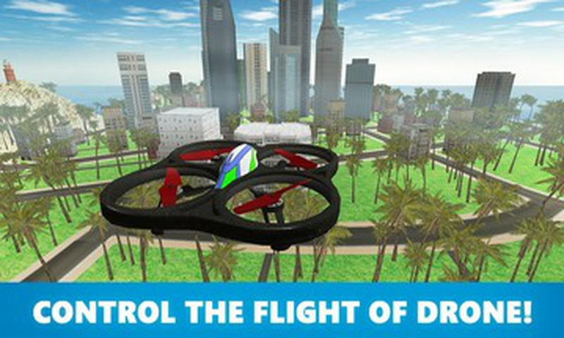 RC Quadcopter Drone Sim 3D截图3