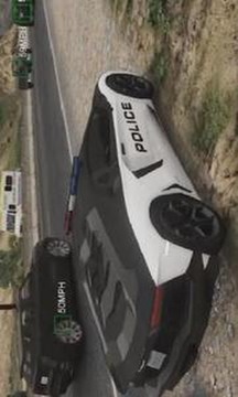 Real Extreme Police Car Simulator 2019 3D截图