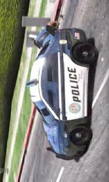 Real Extreme Police Car Simulator 2019 3D截图
