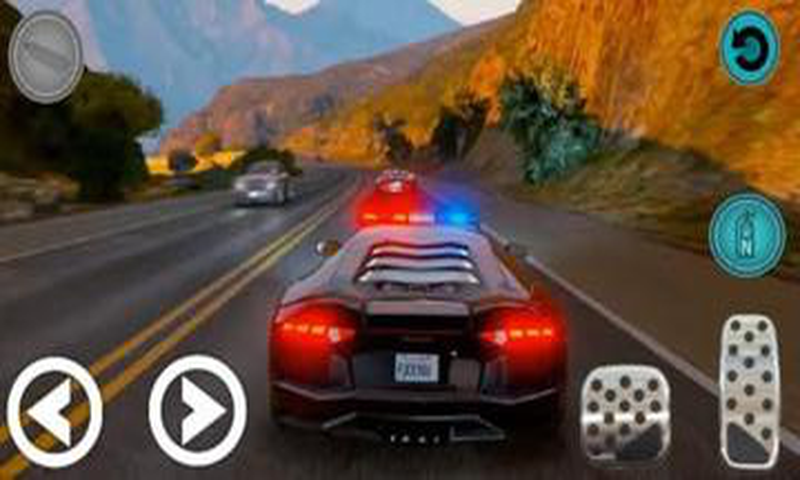 Real Police Car Game 2019 Pro截图2