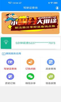 駕駛證查詢截圖