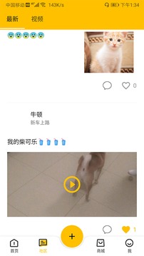 寵窩截圖