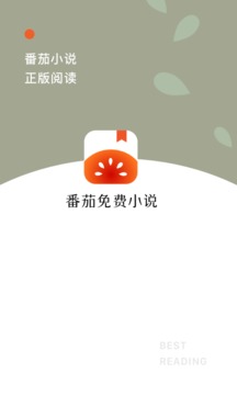 番茄免费小说截图