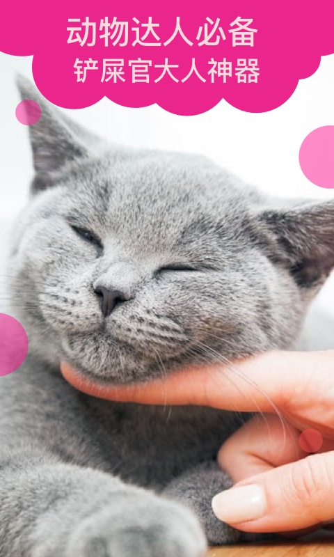 貓語(yǔ)翻譯截圖預(yù)覽