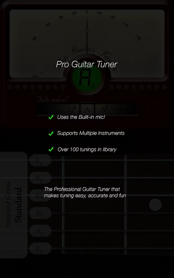 Pro Guitar Tuner截图2