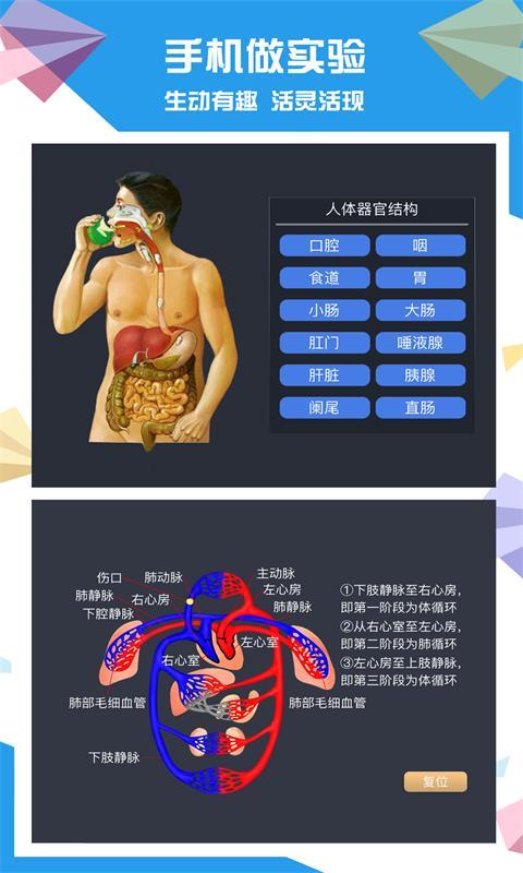 土豆生物截图4